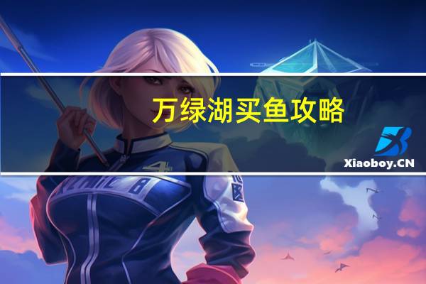 万绿湖买鱼攻略
