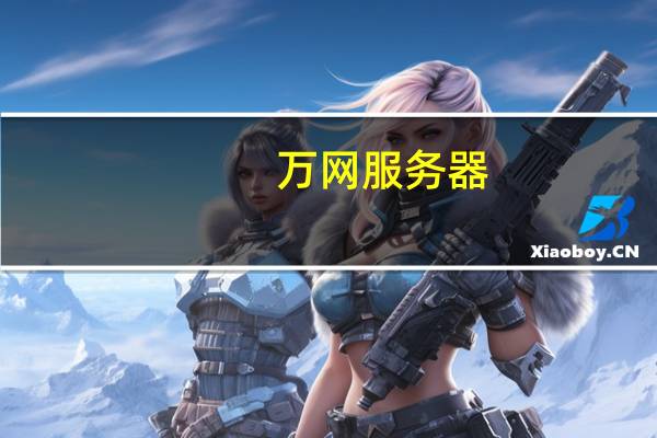 万网服务器（万网m2）