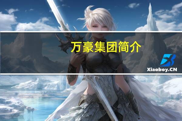 万豪集团简介（万豪金业）