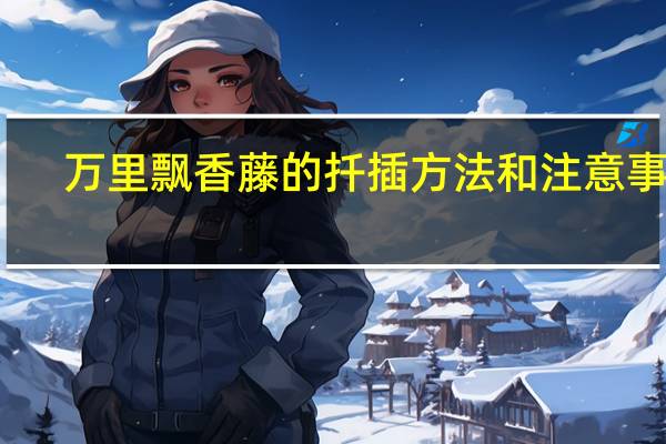 万里飘香藤的扦插方法和注意事项