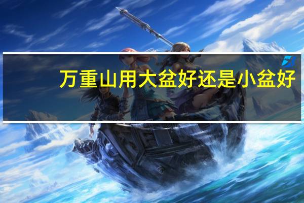 万重山用大盆好还是小盆好