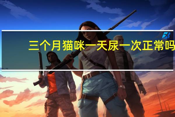 三个月猫咪一天尿一次正常吗