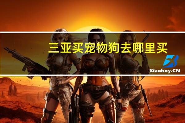 三亚买宠物狗去哪里买