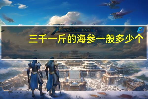 三千一斤的海参一般多少个
