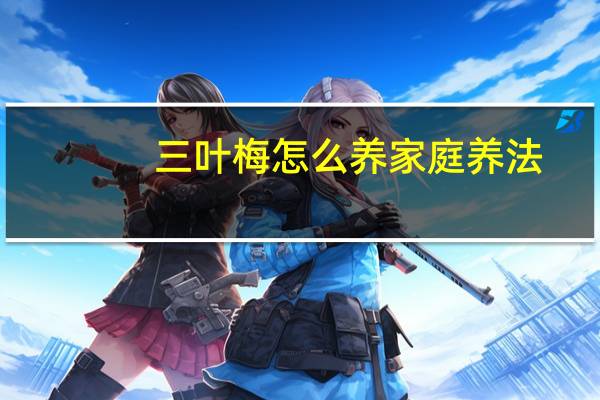 三叶梅怎么养家庭养法