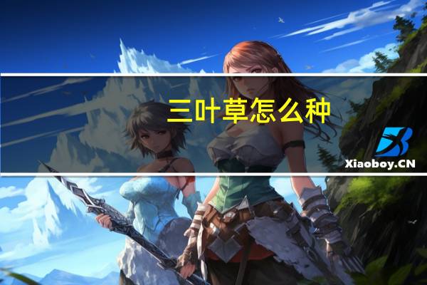 三叶草怎么种