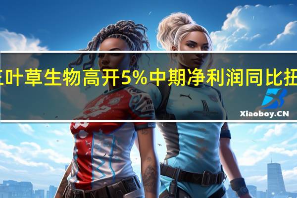 三叶草生物高开5% 中期净利润同比扭亏为盈