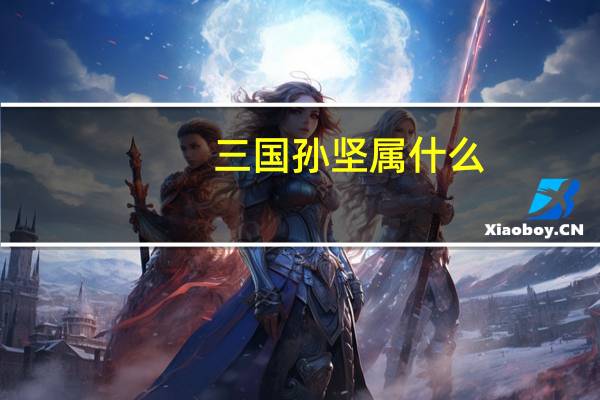 三国孙坚属什么（三国孙坚）