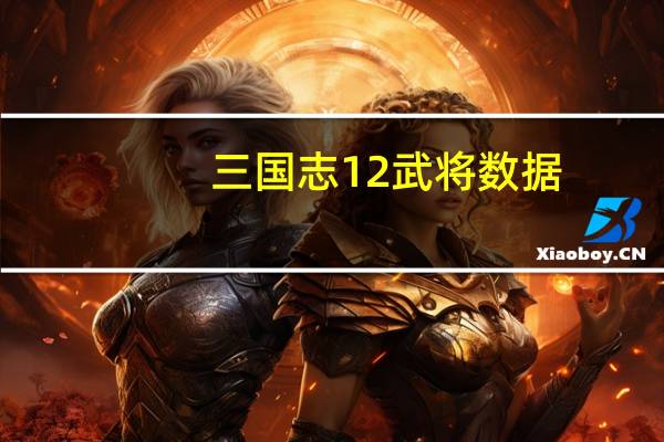 三国志12武将数据(三国志12武将名字)