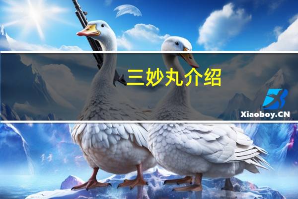 三妙丸介绍