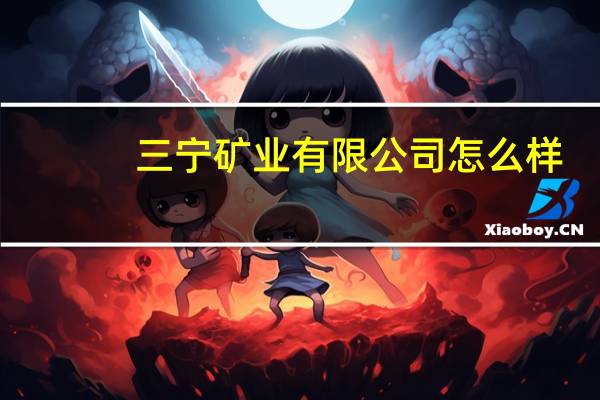 三宁矿业有限公司怎么样