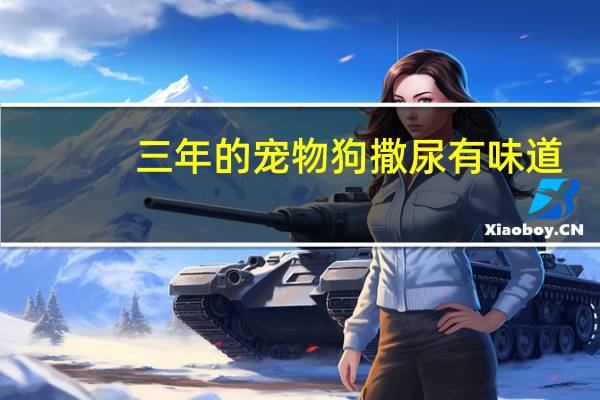 三年的宠物狗撒尿有味道