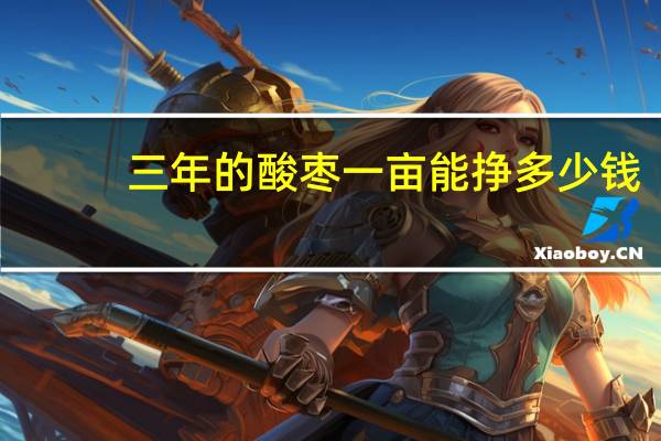 三年的酸枣一亩能挣多少钱