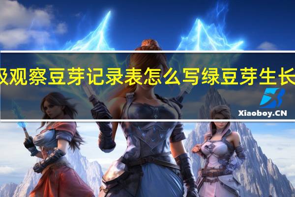 三年级观察豆芽记录表怎么写 绿豆芽生长观察记录表
