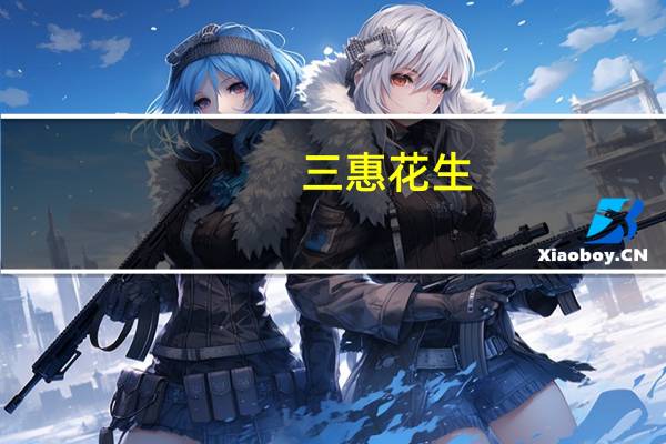 三惠 花生(经典培根味)的热量是多少