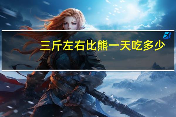 三斤左右比熊一天吃多少