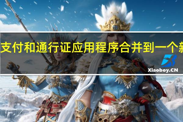 三星将其支付和通行证应用程序合并到一个新的钱包界面中