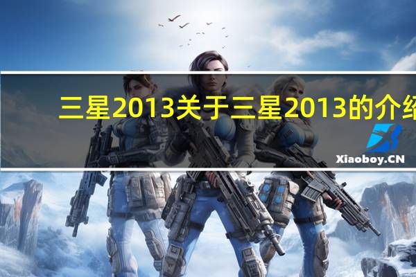 三星2013 关于三星2013的介绍