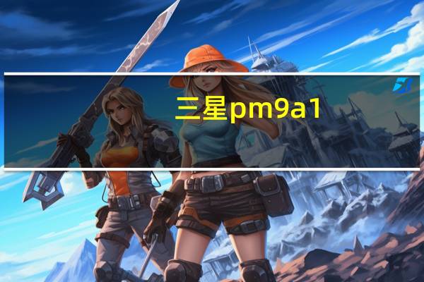三星pm9a1(三星p)