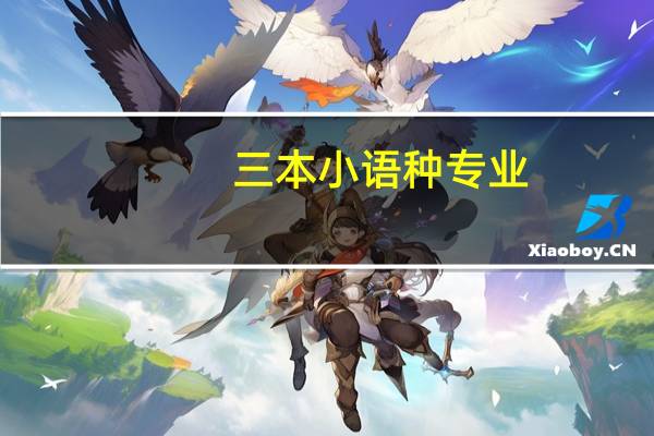 三本小语种专业，毕业后可以做什么