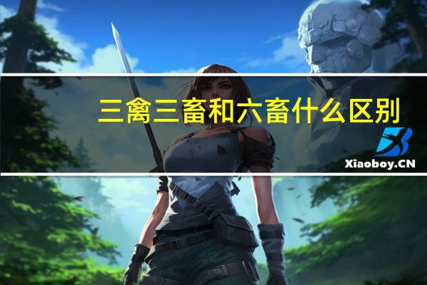 三禽三畜和六畜什么区别