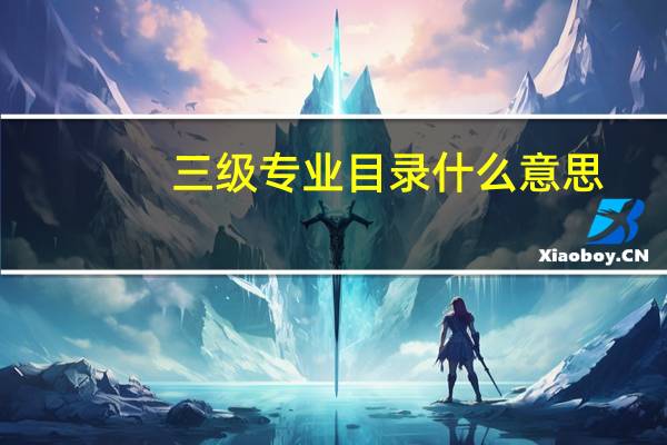 三级专业目录什么意思