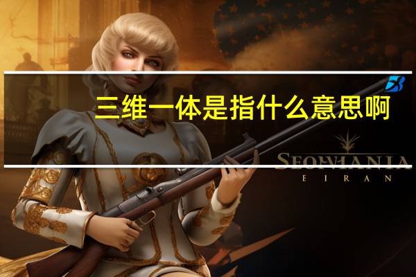 三维一体是指什么意思啊
