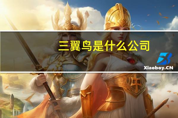 三翼鸟是什么公司（三翼鸟简介）