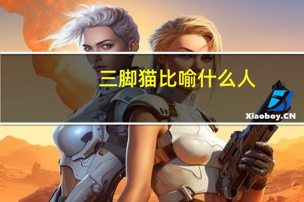 三脚猫比喻什么人