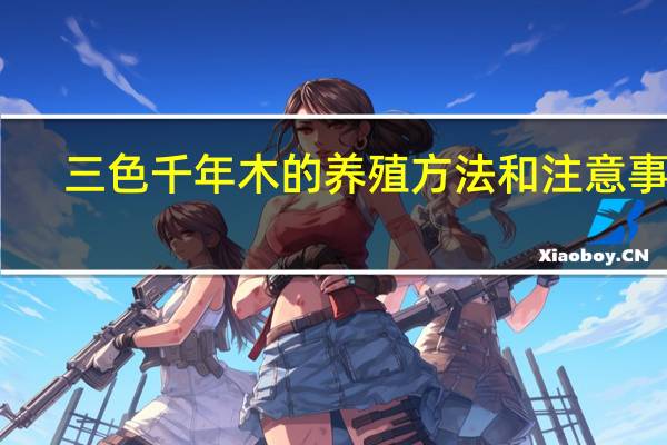 三色千年木的养殖方法和注意事项