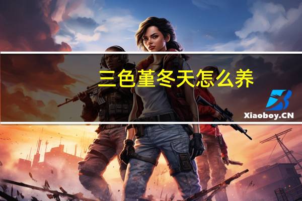 三色堇冬天怎么养