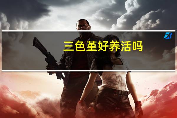 三色堇好养活吗