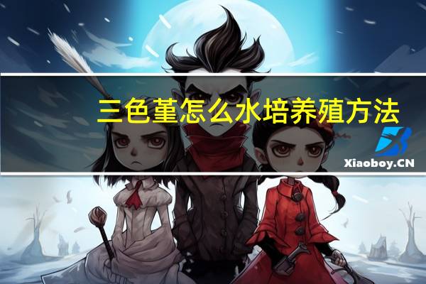 三色堇怎么水培养殖方法