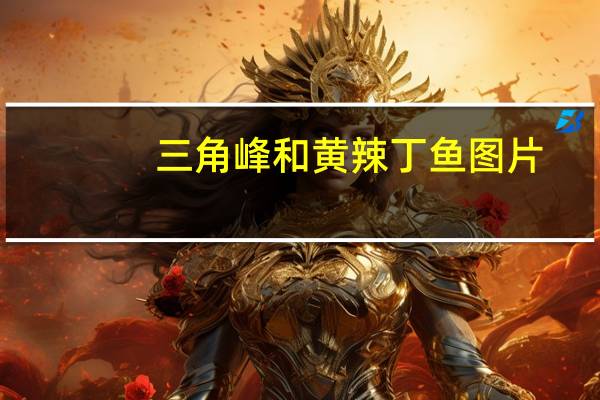 三角峰和黄辣丁鱼图片（三角峰）