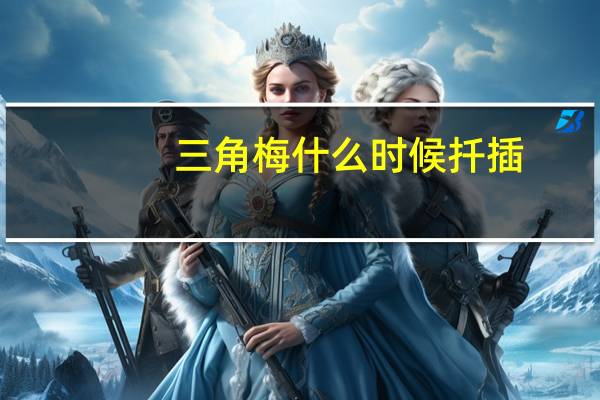 三角梅什么时候扦插