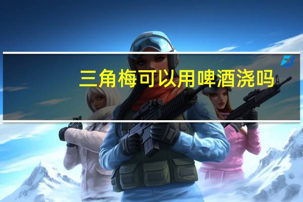 三角梅可以用啤酒浇吗