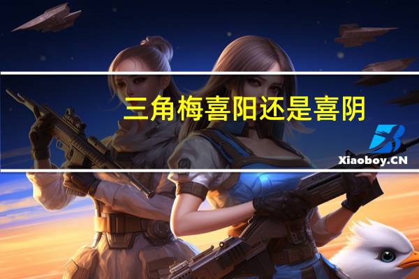 三角梅喜阳还是喜阴