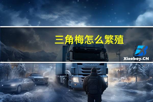 三角梅怎么繁殖