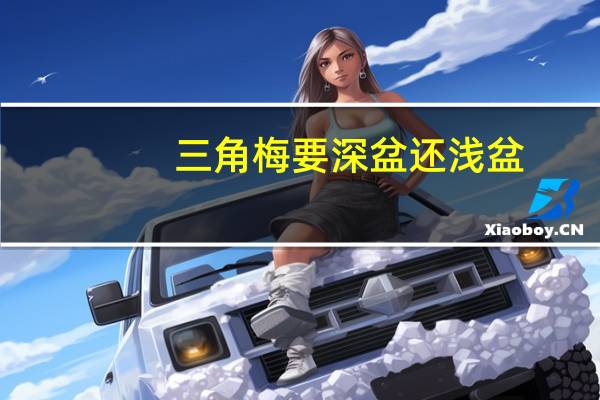 三角梅要深盆还浅盆