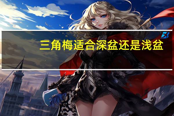 三角梅适合深盆还是浅盆