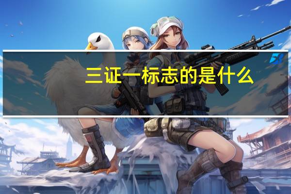 三证一标志的是什么（三证一标志）