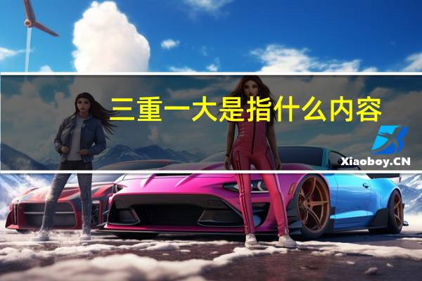 三重一大是指什么内容