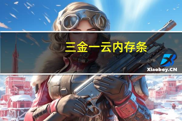 三金一云内存条（三金一云）