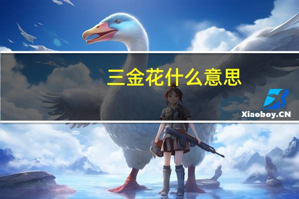 三金花什么意思