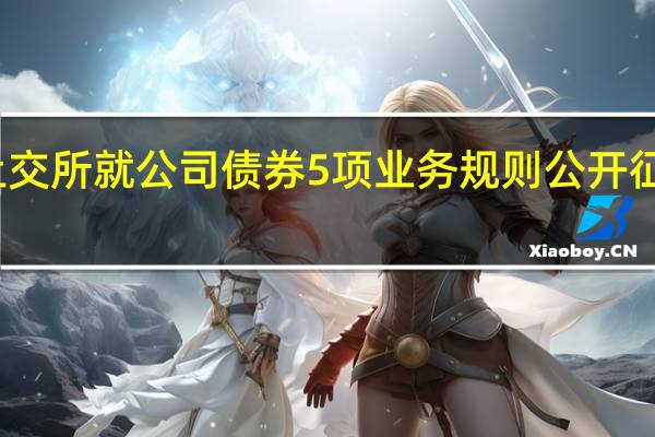 上交所就公司债券（含企业债券）5项业务规则公开征求意见