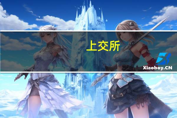 上交所:优化交易监管 平衡好保持交易通畅和打击过度投机