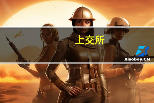上交所：对南京华脉科技股份有限公司及有关责任人予以通报批评