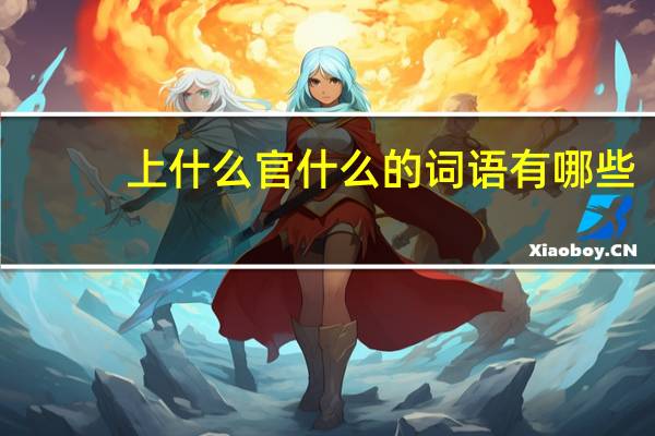 上什么官什么的词语有哪些?