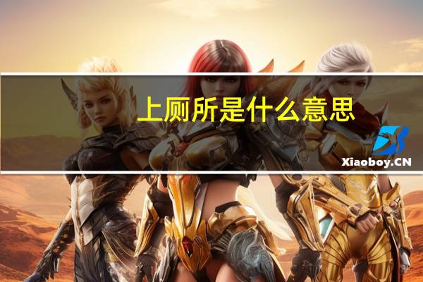 上厕所是什么意思