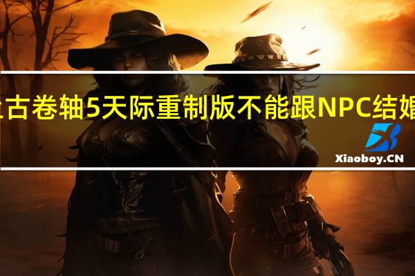 上古卷軸5天際重制版不能跟NPC結婚怎么辦(不能跟NPC結婚解決方法詳解)